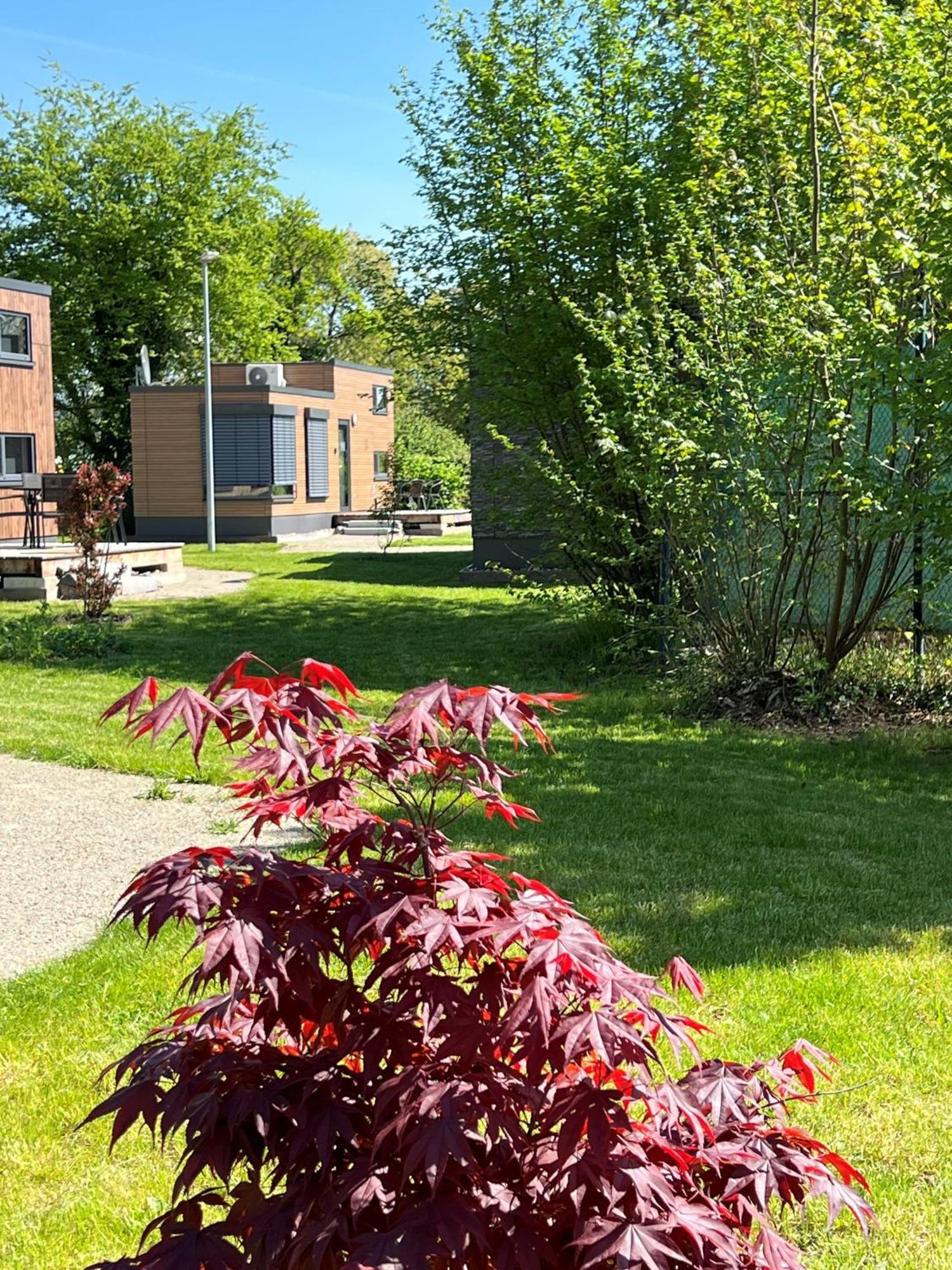 Tiny Haus Park Fritzlar Βίλα Εξωτερικό φωτογραφία